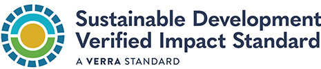 SD Vista Logo