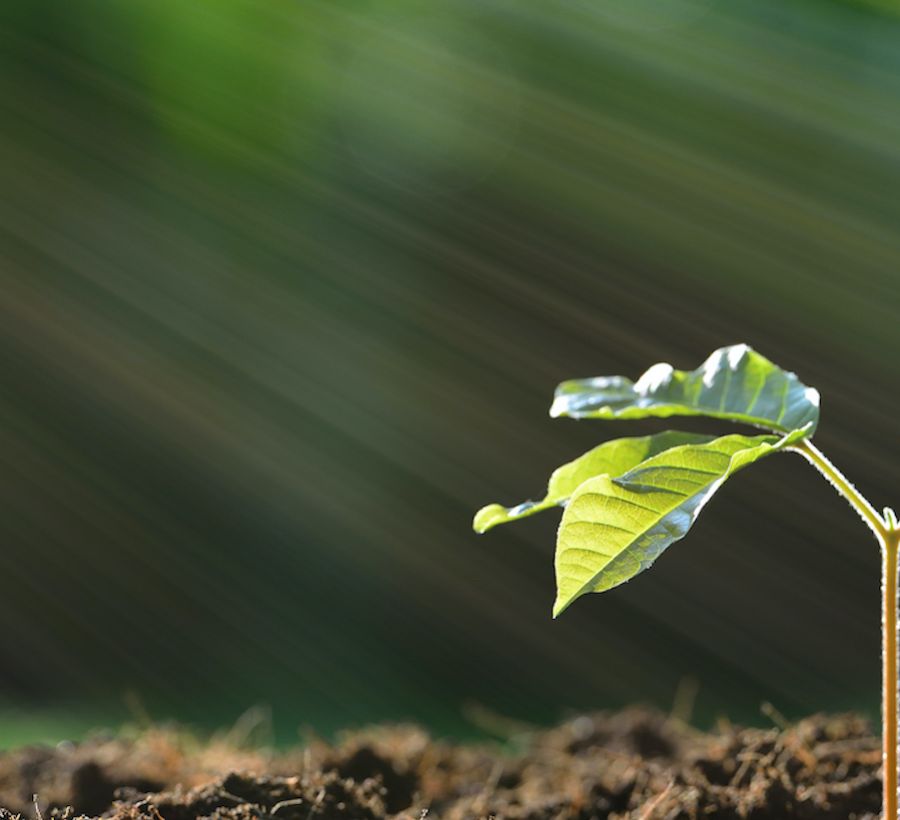 Climate Investments