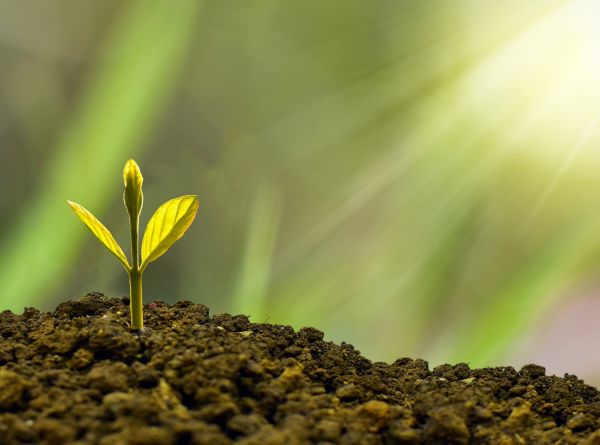 Klimatfonder och investeringar