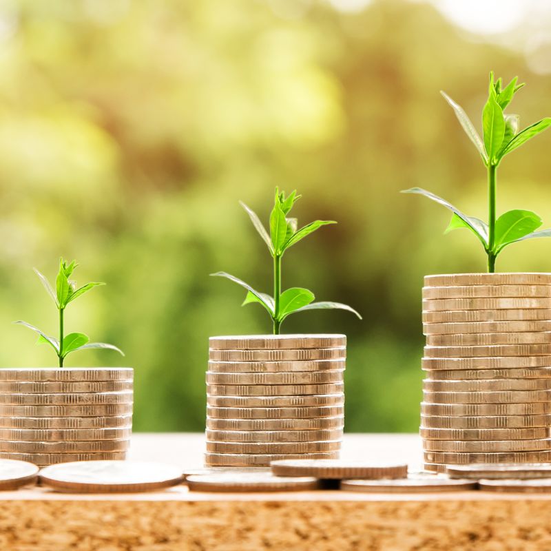 U.S. Federal Trade Commission likely to update Green Guides: what you need to know