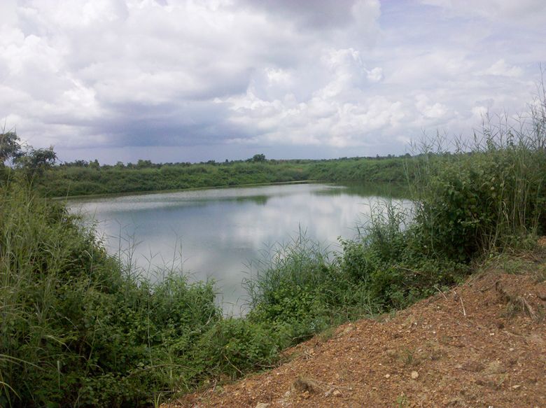 project_image_300392-4.jpg