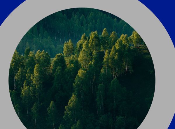 Summary of the July 2024 SBTi Update on Scope 3 Emissions Target