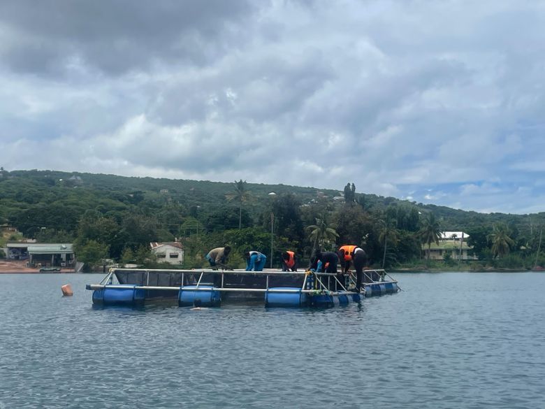 <p>A majority solar-powered fish farm in Lake Tanganyika, Tanzania. The AQUASMART Concept, an energy and resource efficiency application, ensures that water is pumped when the sun is shining.</p>