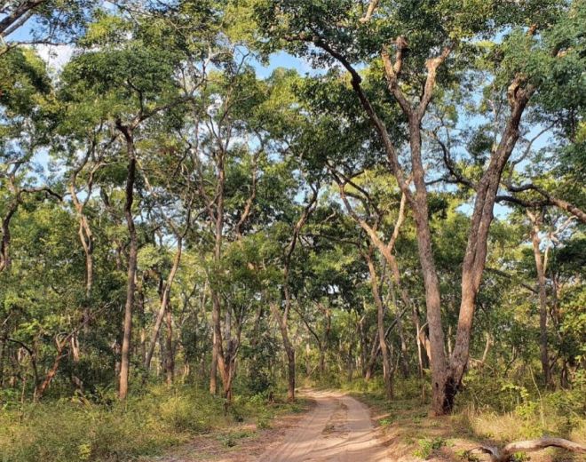 Mobilising climate finance in Africa is crucial to creating real climate progress
